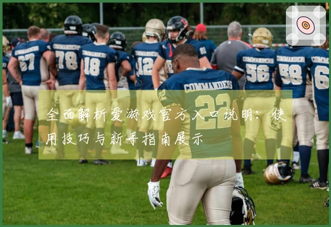 全面解析爱游戏官方入口说明：使用技巧与新手指南展示